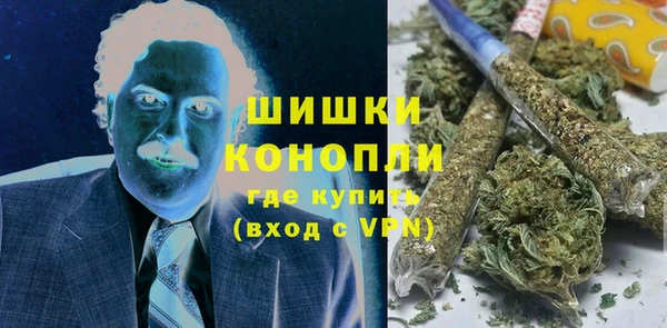 винт Лагань