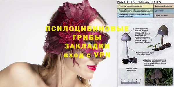трава Куйбышев