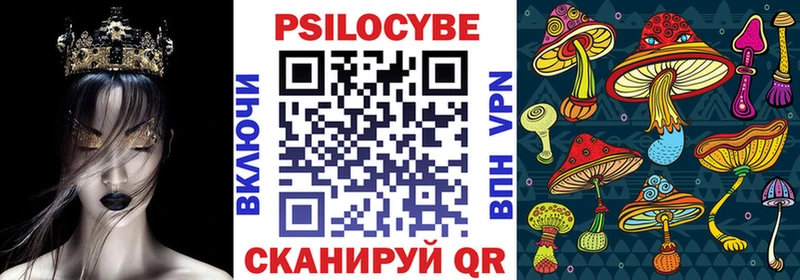 дарнет шоп  Старая Купавна  Псилоцибиновые грибы мицелий 