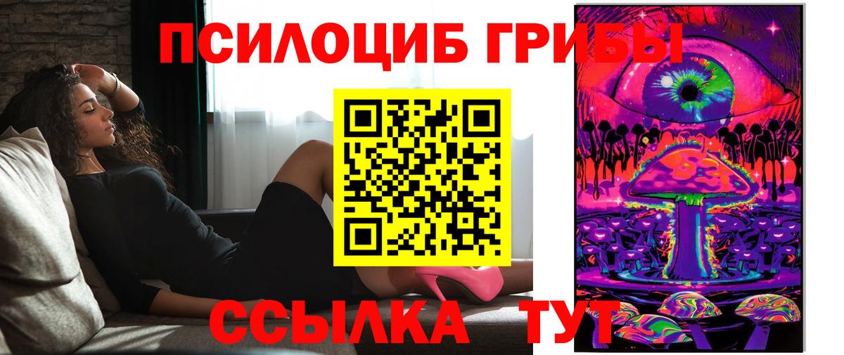 Псилоцибиновые грибы Psilocybe Старая Купавна