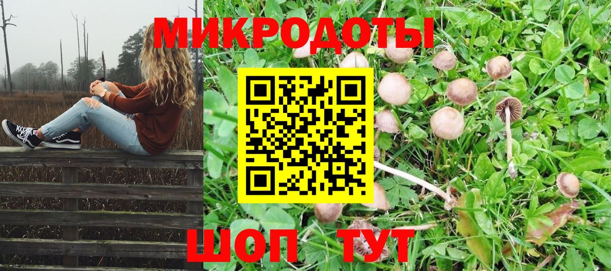 Галлюциногенные грибы прущие грибы  Вход с VPN  Старая Купавна 